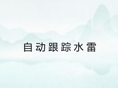 自动跟踪水雷