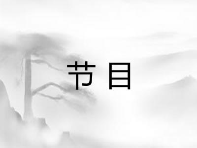 节目 节目