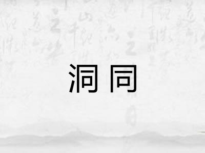 洞同