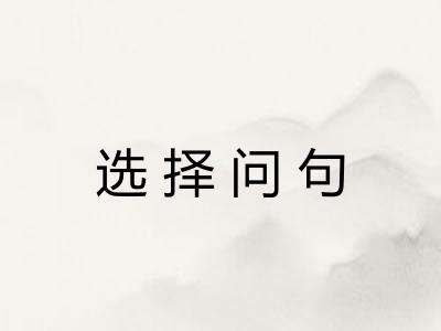 选择问句 选择问句