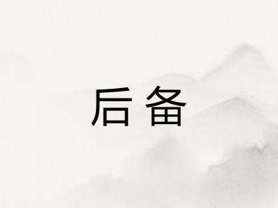 后备 后备