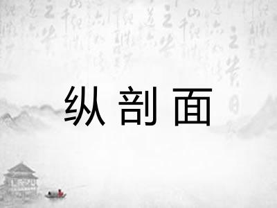 纵剖面