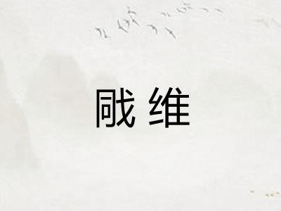 戙维