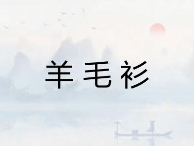 羊毛衫 羊毛衫