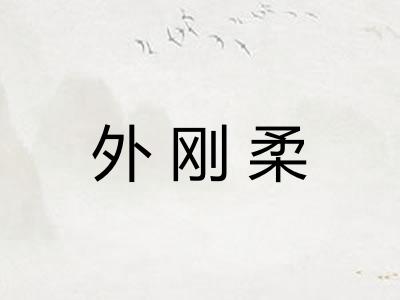 外刚柔