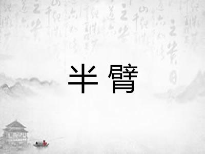 半臂