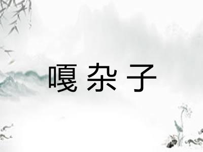 嘎杂子