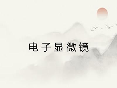 电子显微镜 电子显微镜