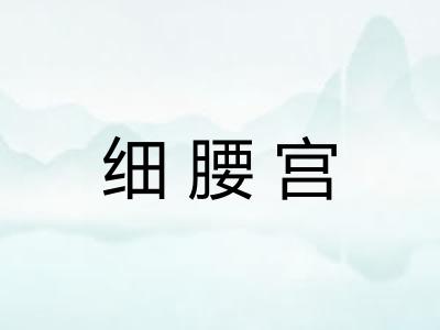 细腰宫