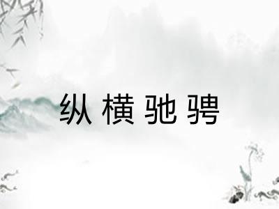 纵横驰骋 纵横驰骋
