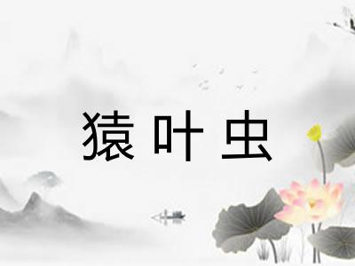 猿叶虫