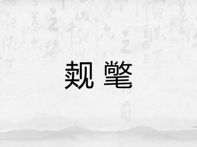 觌氅