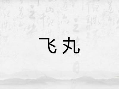 飞丸
