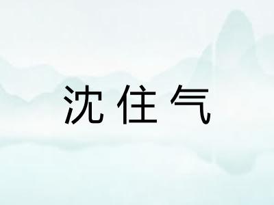 沈住气 沈住气