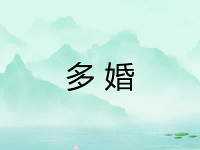 多婚