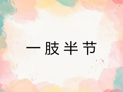 一肢半节 一肢半节