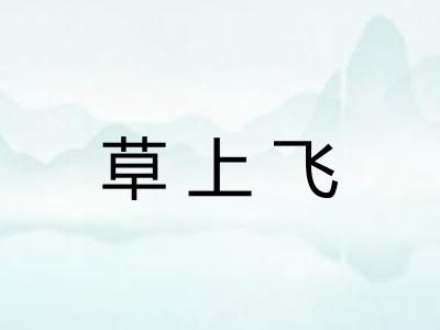 草上飞