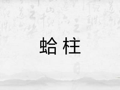 蛤柱 蛤柱