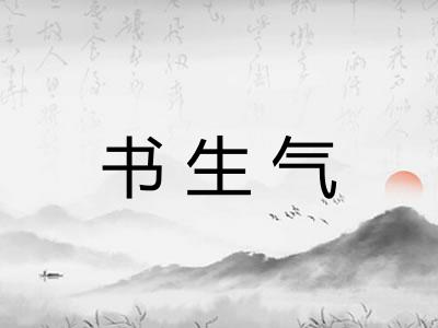 书生气