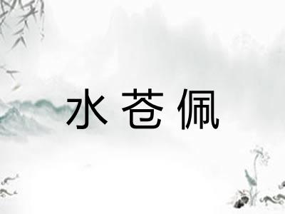 水苍佩