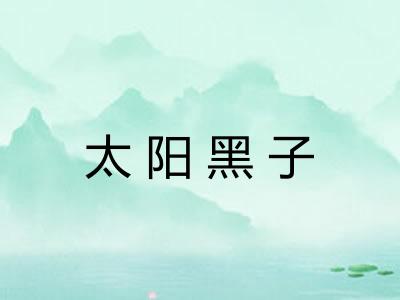 太阳黑子 太阳黑子