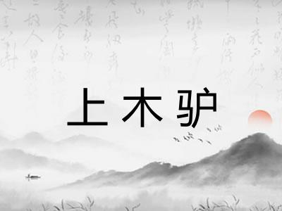 上木驴 上木驴