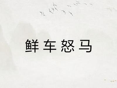 鲜车怒马 鲜车怒马