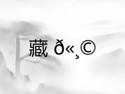 藏𫸩 藏𫸩