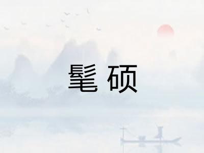 髦硕