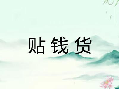 贴钱货 贴钱货