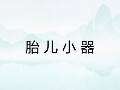 胎儿小器