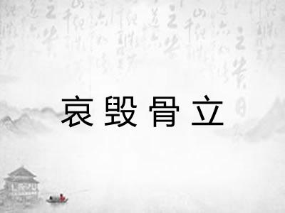 哀毁骨立