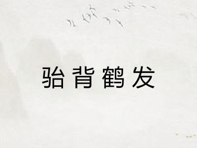 骀背鹤发