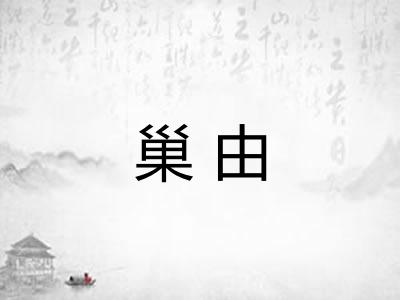 巢由