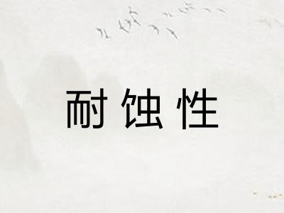 耐蚀性 耐蚀性