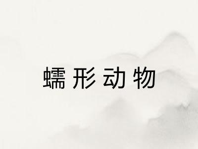 蠕形动物 蠕形动物