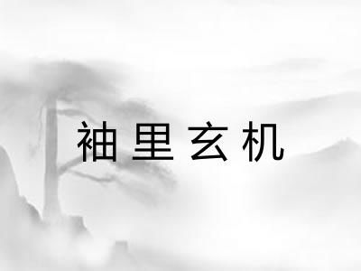 袖里玄机