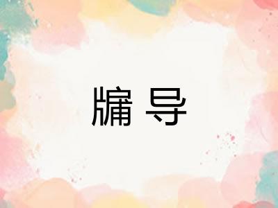 牖导