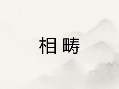 相畴