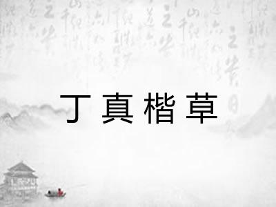 丁真楷草