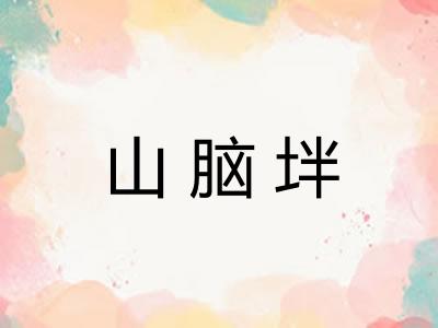 山脑坢