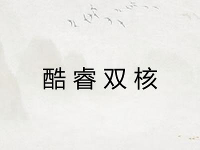 酷睿双核