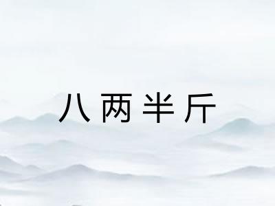 八两半斤