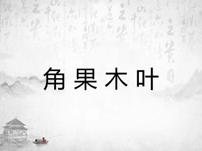 角果木叶