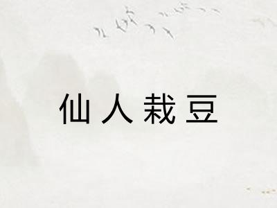 仙人栽豆