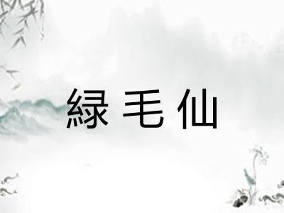緑毛仙