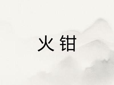 火钳 火钳