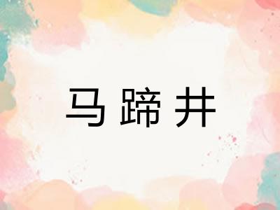 马蹄井