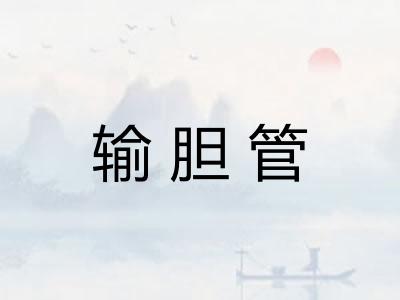 输胆管 输胆管