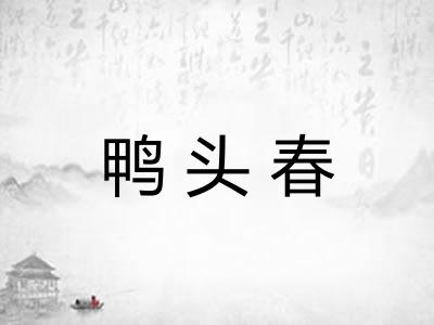 鸭头春 鸭头春